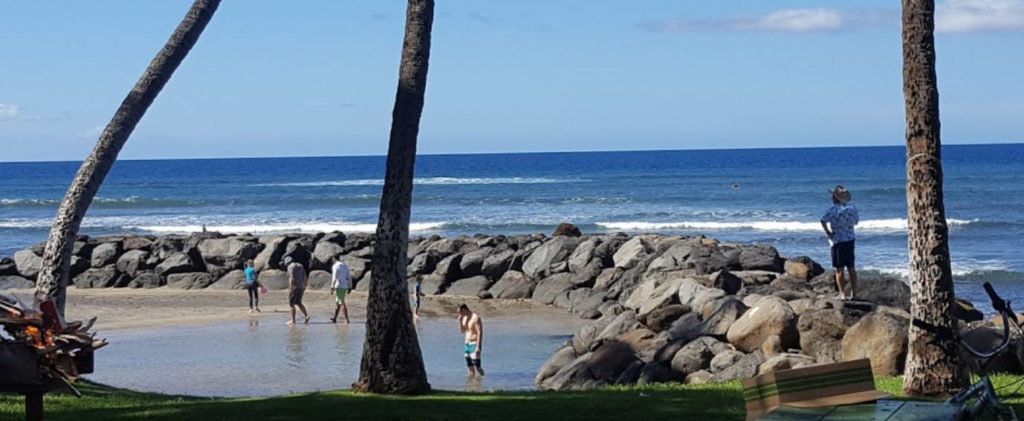 Launiupoko Beach Park