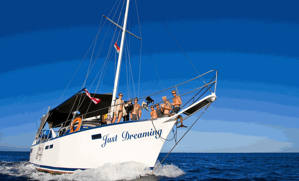 Justdreamingsurftrips